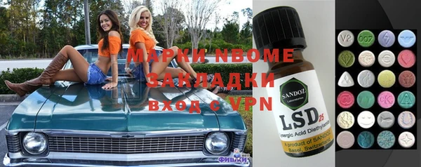 прущие грибы Лабытнанги