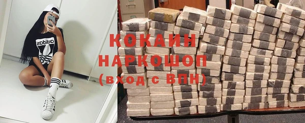 прущие грибы Лабытнанги